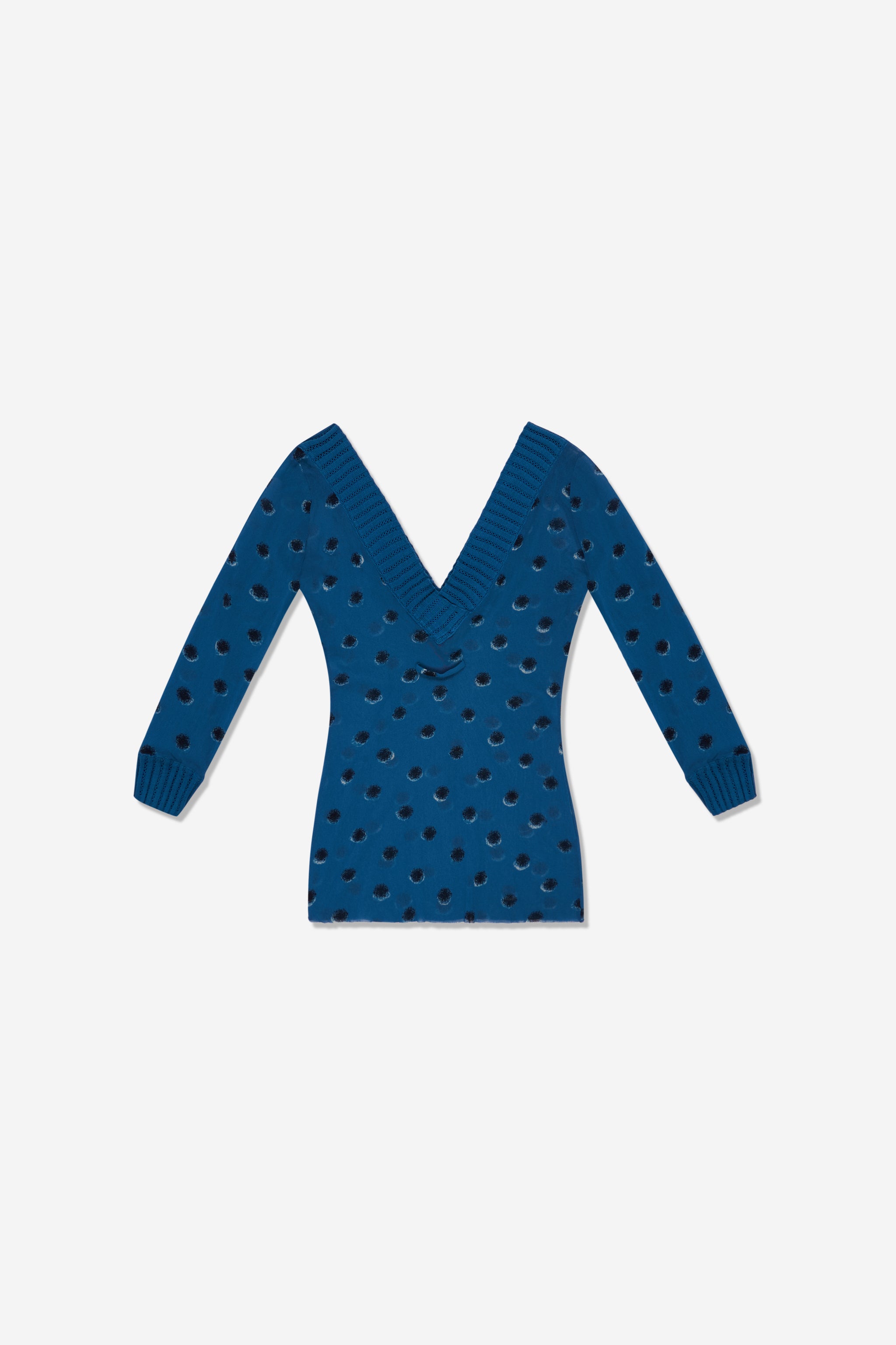 Blue sheer polka dot top